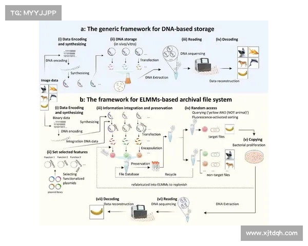 意甲俱乐部为何难以突破自建球场瓶颈背后的多重困境分析