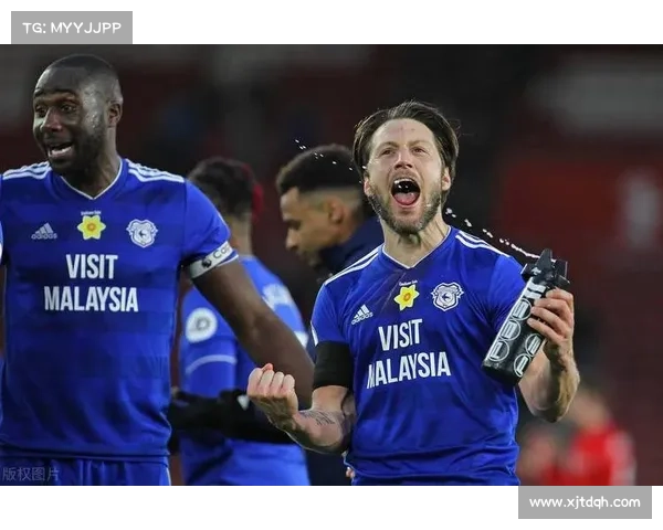 加的夫城足球俱乐部的联赛历程与成就探索